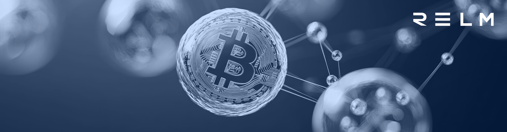 Relm crypto insurance