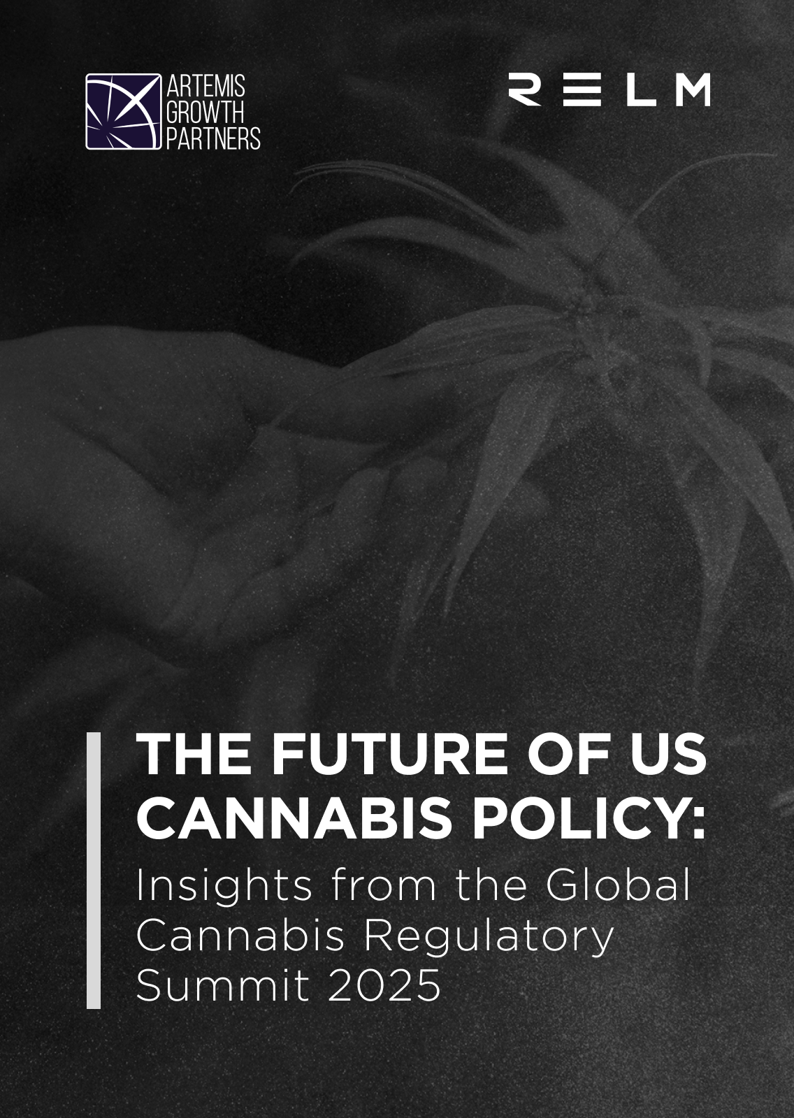 Cover image for report
