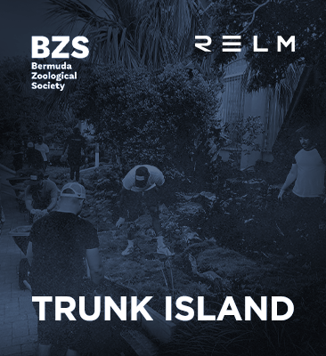 Trunk Island text with volunteer imagery