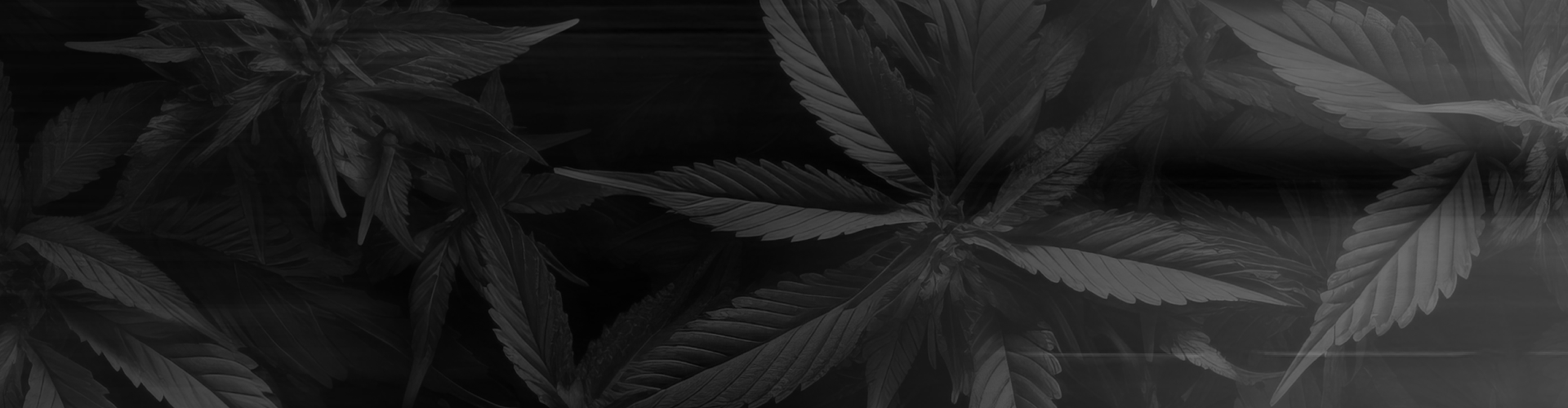 Relm Insurance Cannabis Web Banner.png