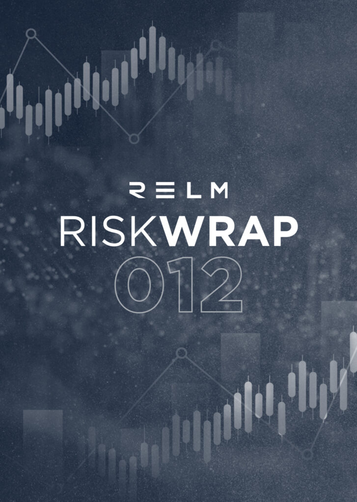 Relm Insurance risk wrap 012 innovative insurance