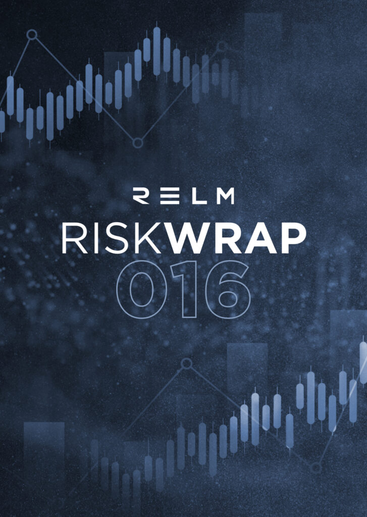 relm risk wrap imagery