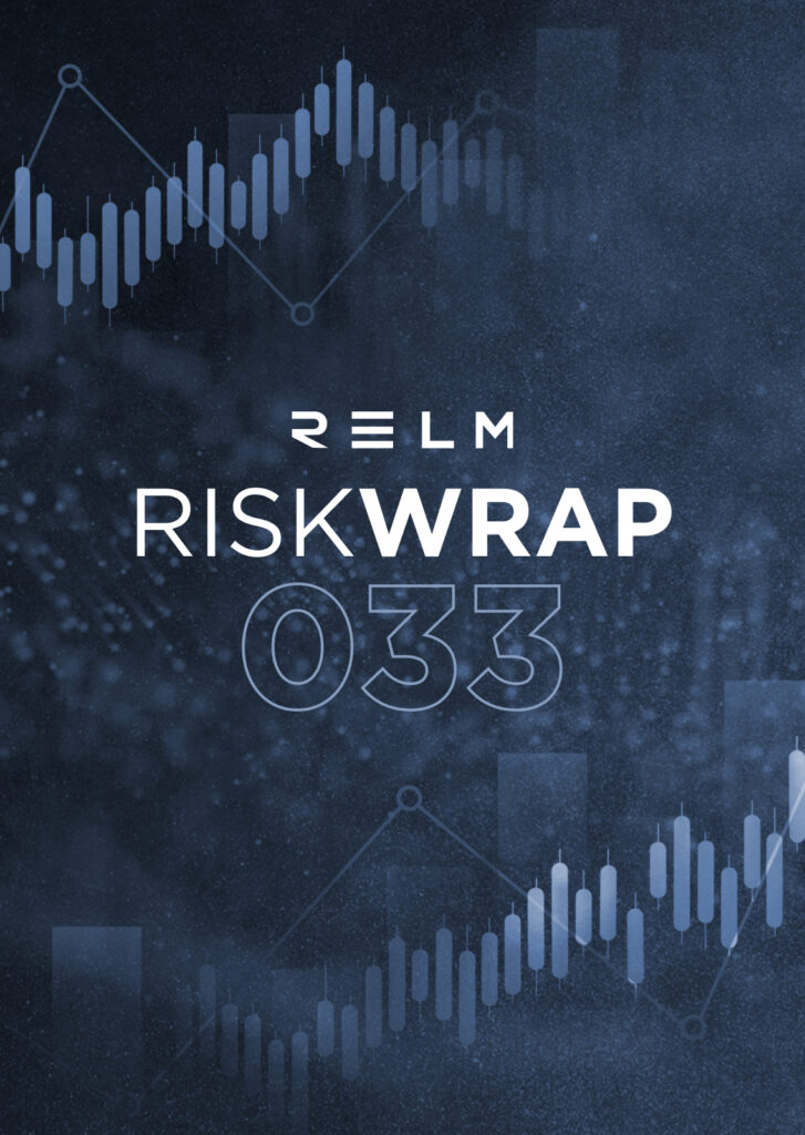 Relm Risk Wrap 033