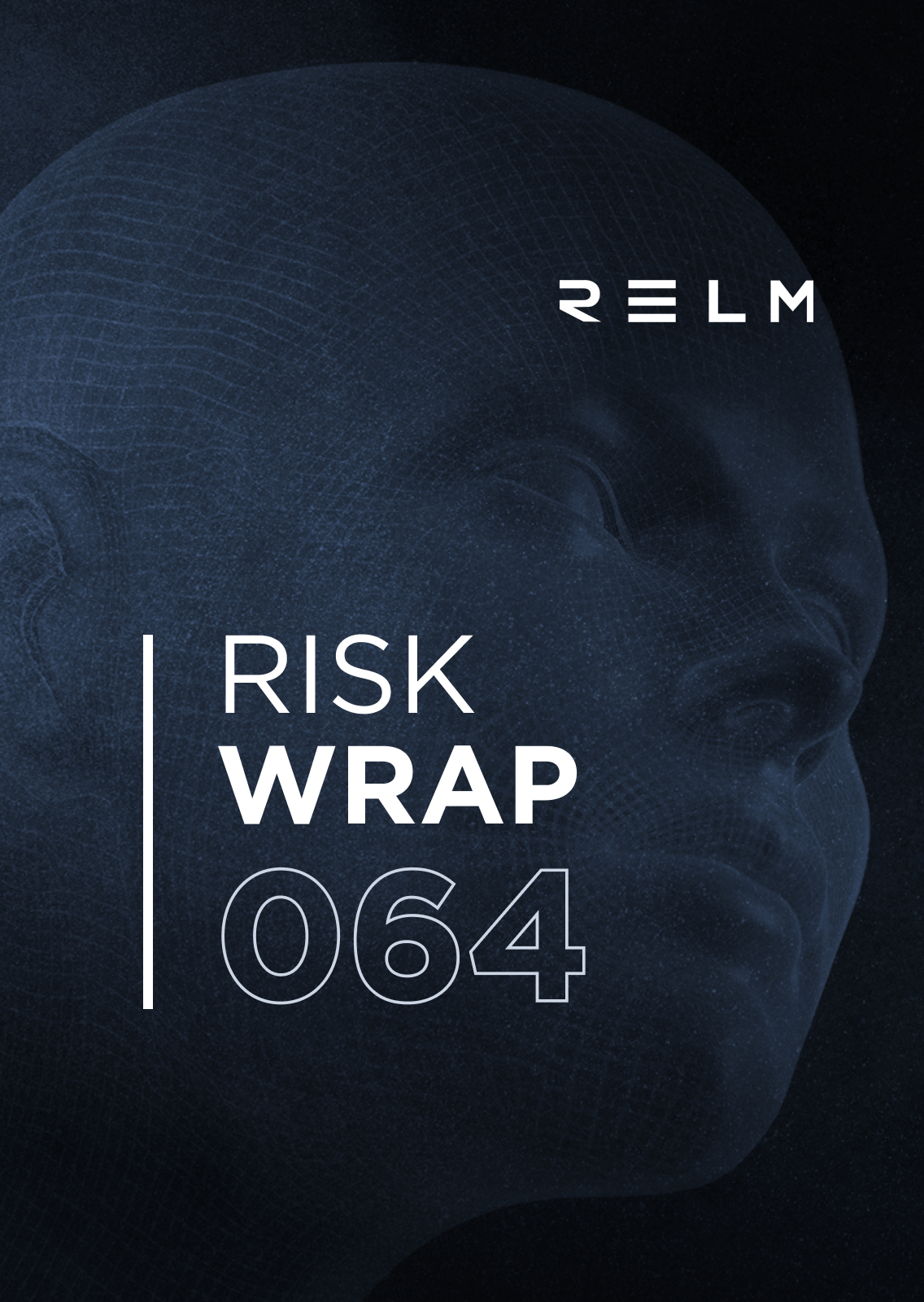 risk wrap 064
